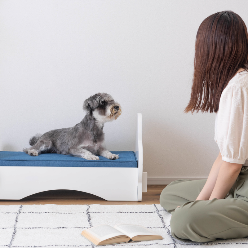 小型犬用ペットベッド  雲型